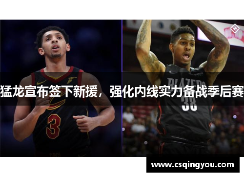 猛龙宣布签下新援，强化内线实力备战季后赛